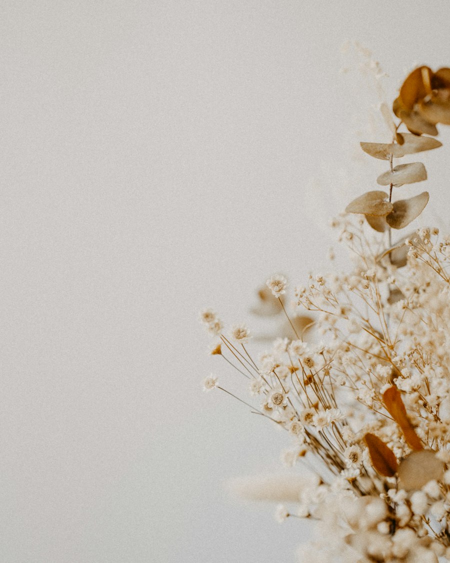 Dried flowers on a soft white background